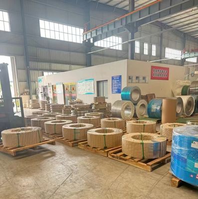 301 ASTM/AISI/JIS/SUS/DIN Stainless Steel Strip For Spring