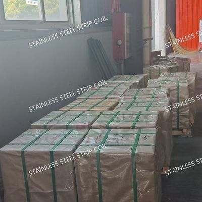 Thin Gauge 316 Stainless Steel Strip (0.1-3mm) Heat Resistant Industrial Alloy