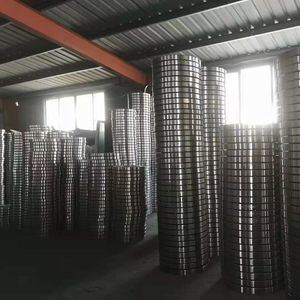 Corrosion Resistant High-Temperature Resistant Stainless Steel Welding Flange DN10-DN600 for Industrial Applications