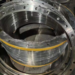 DN40 Heat Treatment Duplex Stainless Steel Plate Flange for High-Temperature and Corrosion Resistant Applications