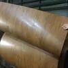 RAL 9012 White PPGI Prepainted Galvanized Steel Coil for 0.6mm Thick Corrugated Steel Sheet