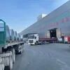 DX51D+Z275 Galvanized Steel Sheet and Coil with 0.3 - 3.0mm Thickness for Container Plate Application