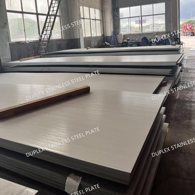 2205 Duplex Stainless Steel Plate for Chemical Processing Marine Use
