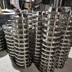 316L Stainless Steel Class 300 Pipe Flanges for Oil Gas Water ANSI B16.5 Standard