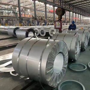 Customized JIS CGCC Soft Prepainted Galvanized Steel Sheet with 1220*2440mm Specification for Container Plate Application