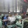 Wood Pattern Prepainted Galvanized Steel Coil PPGI with 1220*2440mm Specification for Container Plate