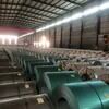 1220*2440mm Specification PPGI Color Coated Galvanized Steel Sheet with Z30-Z275 Zinc Coating for Container Plate Application